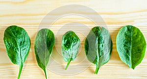 Spinach leaf close up