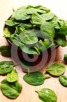 Spinach Leaves