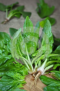 Spinach leaves