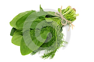 spinach leaves isolate on white background. Healthy food.