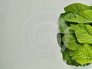 spinach leaves isolated white background