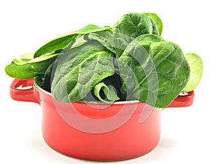 Spinach leaves in a red cauldron