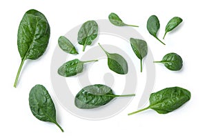 Spinach leaves, Spinacia oleracea, Spinaci foglie