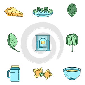 Spinach leaves vegetables icons set vector color