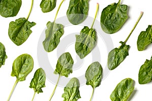 Spinach leaves on white background, top view, flat lay