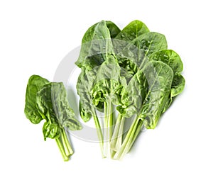 Spinach leaves on white backgrounds