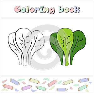 Spinach. A page of a coloring book with a colorful vegetables and a sketch for coloring.