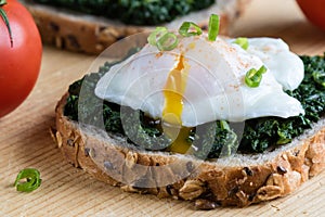 Spinach and poached egg on brown bread