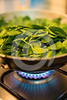 Spinach in a pot with lit fire