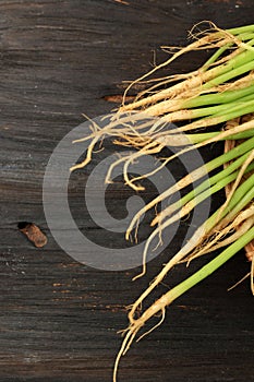 Spinach Root on Black Wooden Table