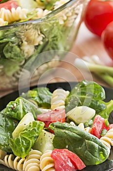 Spinach and rotini pasta salad