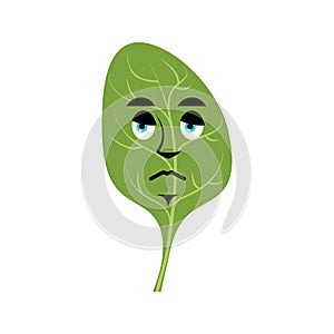 Spinach sad Emoji. Green leaves sorrowful emotion isolated