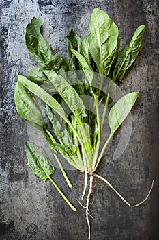 Spinach on Slate Overhead View