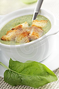 Spinach soup with croutons
