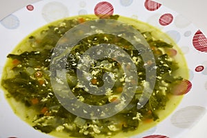 spinach soup in a plate