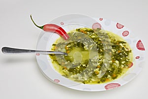 spinach soup in a plate