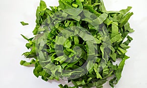 Spinach.Spinach. Color, green.Purple stem curly mint isolated on white background