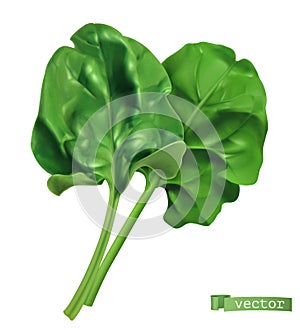 Spinach, vegetable greens. 3d realistic food illustration. Vector object photo