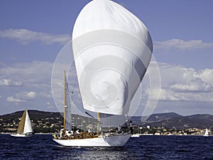 Spinaker