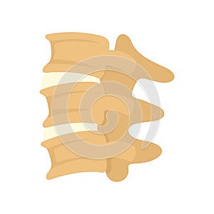 Spinal column discs icon, flat style