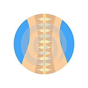 Spinal column icon vector sign and symbol isolated on white back