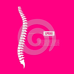 Spinal column vector icon