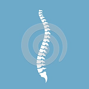 Spinal cord vector icon