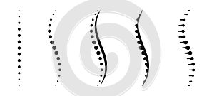 Spinal cord vector icons. Spine icon set. Simple set of spine vector icons. Vector spine icons