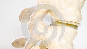 Spinal disc herniation as close-up as 3D Rendering