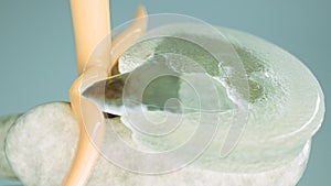 Spinal disc herniation as close-up as 3D Rendering