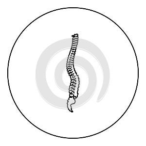 Spinal vertebral column spine backbone icon in circle round black color vector illustration image outline contour line thin style