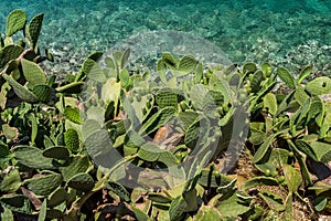 Spinalonga island in Elounda bay of Crete island in Greece