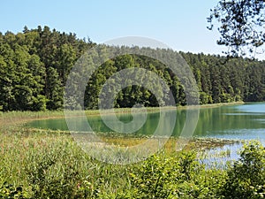 SpindÃÂ¾ius lake (Lithuania)