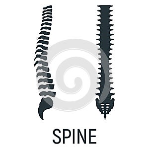 Spine backbone bone, x-ray concept icon, roentgen human body image isolated on white, flat vector illustration. Skeleton part of