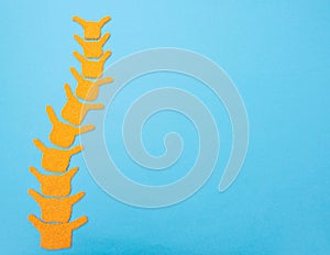 Spine on a blue background. The concept of spinal diseases, curvature of the spine and scoliosis, copy space