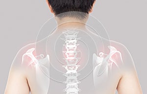 Spine bones injury gray background spine pain