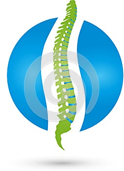 Spine and circle, orthopedic and massage logo