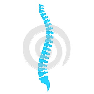 Spine column vector icon