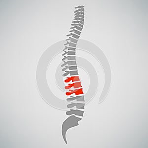 Colonna vertebrale diagnostica progetto 