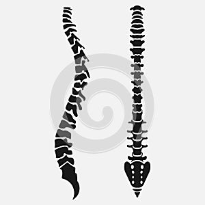 Spine emblem, anatomy human, clinic icon
