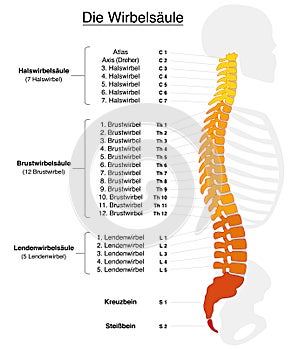 Spine German Labeling photo
