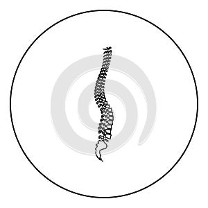 Spine icon black color in circle