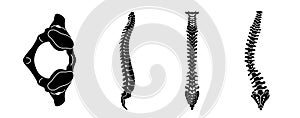 Spine icon set, simple style