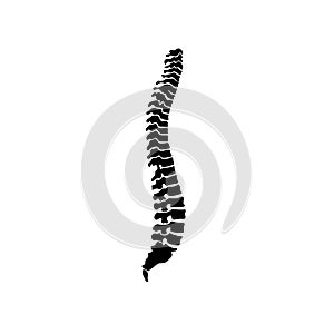 Spine icon silhouette isolated on white background photo