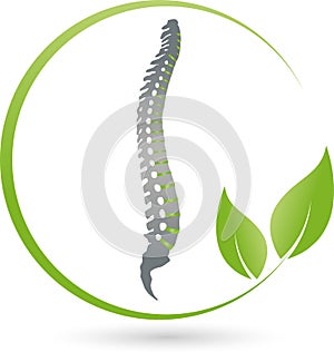 Spine and leaves, orthopedic and massage logo
