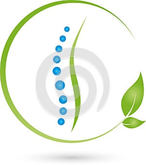 Spine and leaves, physiotherapy and naturopathic logo photo