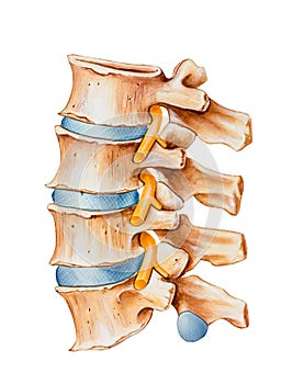 Spine - Nerve Irritation photo