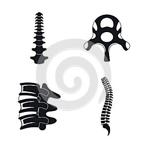 Spine orthopedic vertebra icons set, simple style