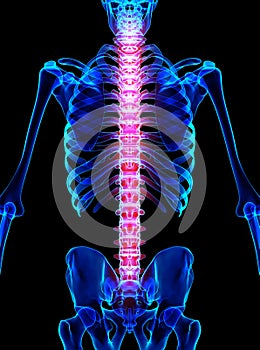 Spine painful skeleton x-ray, 3D illustration.