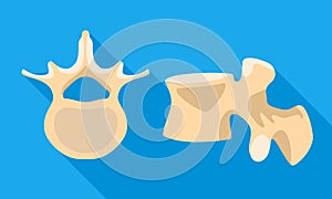 Spine section icon, flat style